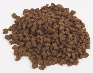 dry-dog-food-300x234