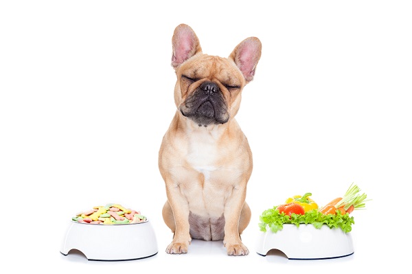 gourmet dog food versus kibble pic